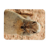 Eekhoorn ontbijt magneet (Horizontaal)