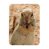 Eekhoorn ontbijt magneet (Verticaal)