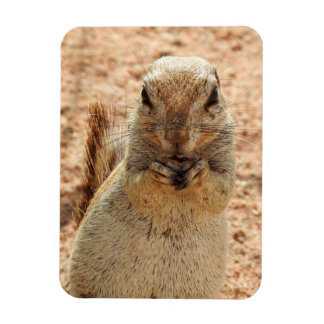 Eekhoorn ontbijt magneet