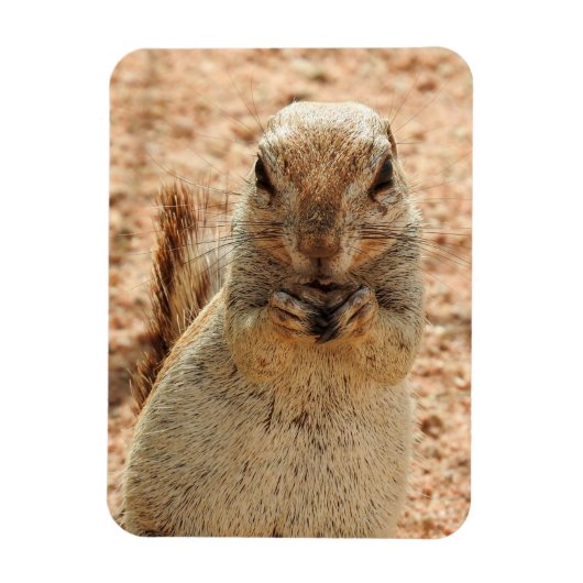 Eekhoorn ontbijt magneet (Verticaal)