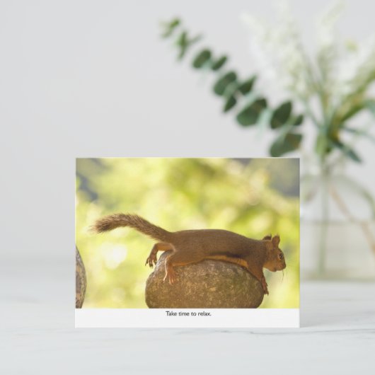 Eekhoorn ontspannen briefkaart (Staand voorkant)