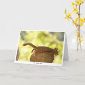 Eekhoorn ontspannen kaart (Gele Bloem)
