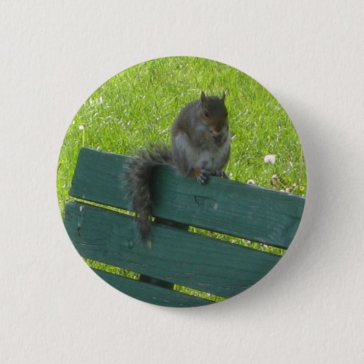 Eekhoorn op bank ronde button 5,7 cm (Voorkant)