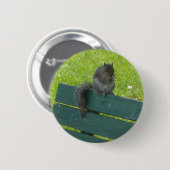 Eekhoorn op bank ronde button 5,7 cm (Voorkant /achterkant)