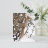 Eekhoorn op boom briefkaart (Staand voorkant)