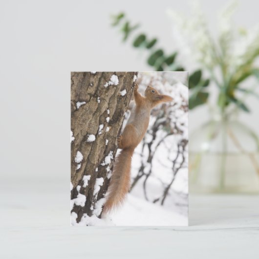 Eekhoorn op boom briefkaart (Staand voorkant)