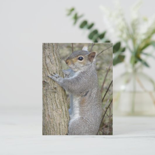 Eekhoorn op boom briefkaart (Staand voorkant)