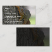 Eekhoorn op boom visitekaartje (Voorkant / Achterkant)