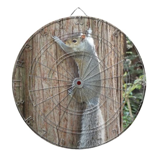 Eekhoorn op boomdartboard dartbord (Voorkant)