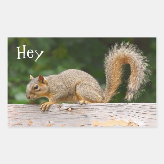 Eekhoorn op de Stickers van de Omheining (Voorkant)