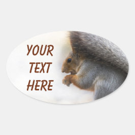 Eekhoorn op een bank en noten ovale sticker