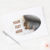 Eekhoorn op een bank en noten ovale sticker (Envelop)