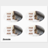 Eekhoorn op een bank en noten ovale sticker (Vel)