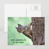 Eekhoorn op een boom briefkaart (Voorkant / Achterkant)