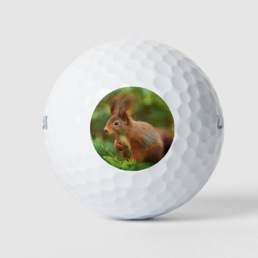 Eekhoorn op een boom golfballen (Voorkant)