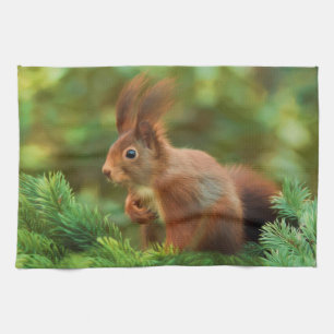 Eekhoorn op een boom theedoek