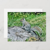 Eekhoorn op een boomstronk briefkaart (Voorkant / Achterkant)