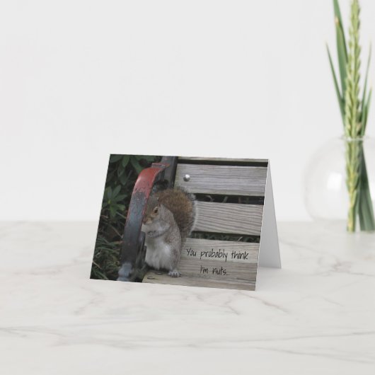 Eekhoorn op een Park Bench Note Kaart (Voorkant)