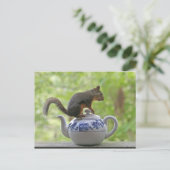 Eekhoorn op een theepot briefkaart (Staand voorkant)