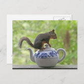 Eekhoorn op een theepot briefkaart (Voorkant / Achterkant)