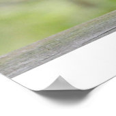 Eekhoorn op een theepot poster (Hoek)