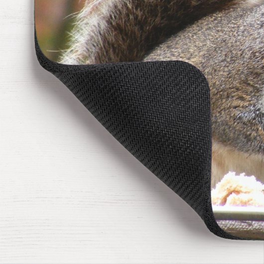 Eekhoorn op feeder muismat (Hoek)