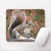 Eekhoorn op feeder muismat (Met muis)