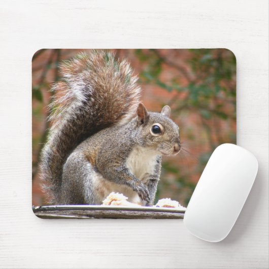 Eekhoorn op feeder muismat (Met muis)