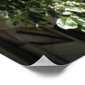 Eekhoorn op hek Afdrukken Poster (Hoek)