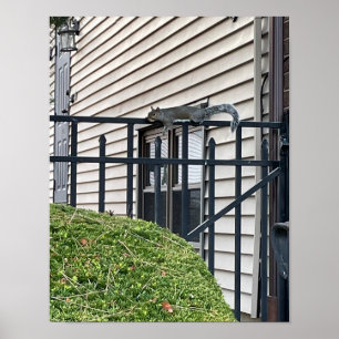 Eekhoorn op het Poster Fence