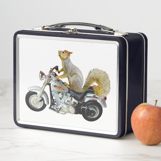 Eekhoorn op motorfietsdoos (In situ)