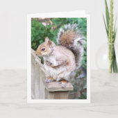 Eekhoorn op paal kaart (Voorkant)
