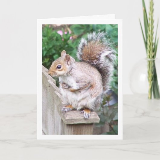 Eekhoorn op paal kaart (Voorkant)