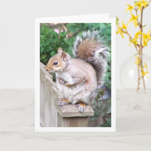 Eekhoorn op paal kaart (Gele Bloem)