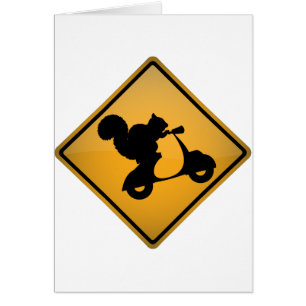 Eekhoorn op scooter