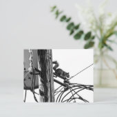 Eekhoorn op telefoonlijn zwart-wit foto briefkaart (Staand voorkant)