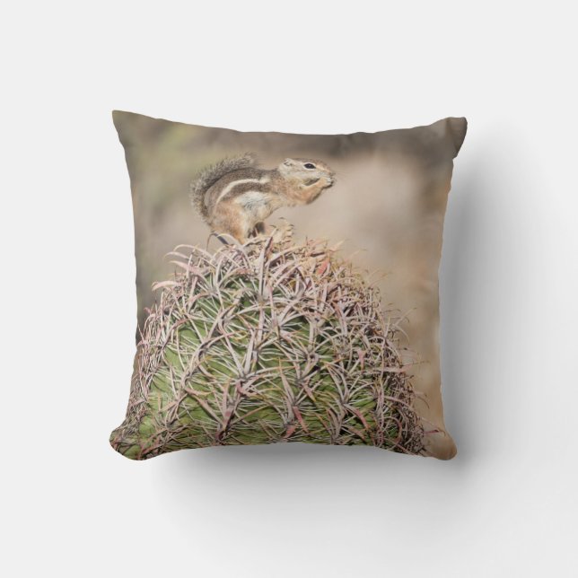 Eekhoorn op toncactus kussen (Voorkant)