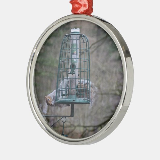 Eekhoorn op vogelvoer metalen ornament (Links)