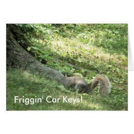 Eekhoorn op zoek naar autosleutels