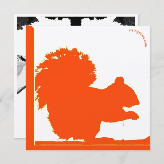 Eekhoorn/oryx ~ Miriam Kilmer, gerecycleerd materi (Voorkant / Achterkant)