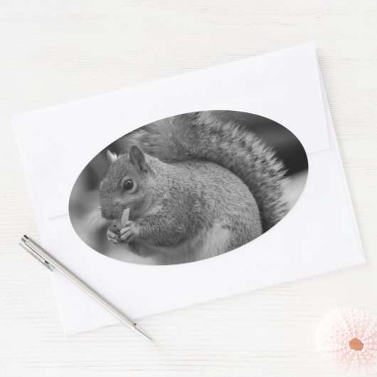 eekhoorn ovale sticker (Envelop)