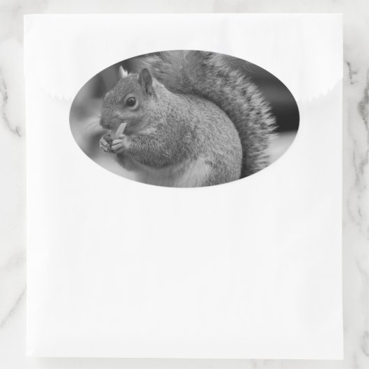 eekhoorn ovale sticker (Tas)