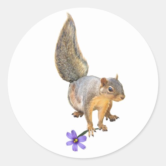 Eekhoorn Paarse Bloem Sticker (Voorkant)
