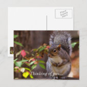 Eekhoorn Patiënt begint te denken aan je Briefkaar Briefkaart (Voorkant / Achterkant)