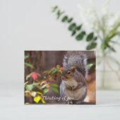Eekhoorn Patiënt begint te denken aan je Briefkaar Briefkaart (Staand voorkant)