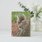 Eekhoorn "Peek-a-boo" Briefkaart (Staand voorkant)
