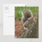 Eekhoorn "Peek-a-boo" Briefkaart (Voorkant / Achterkant)