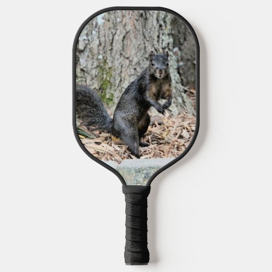 eekhoorn pickleball paddle (Voorkant)
