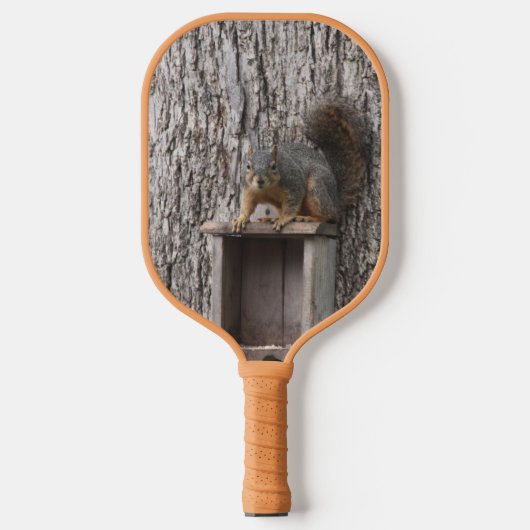 Eekhoorn Pickleball Paddle (Voorkant)