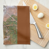 Eekhoorn, pijnboom en keukenhanddoek (Quarter Fold)